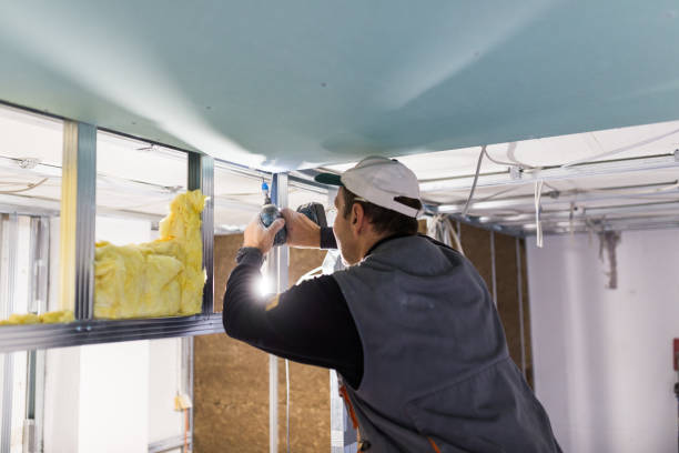 Best Eco-Friendly or Green Insulation Solutions  in Pen Argyl, PA